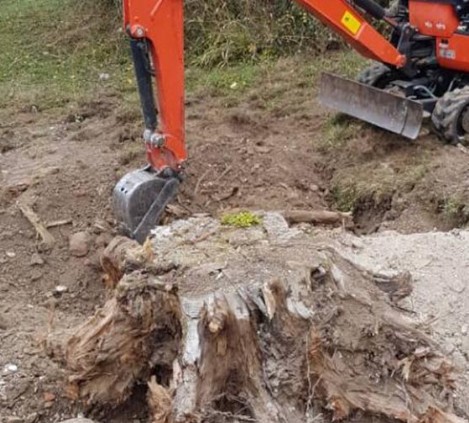 Déssouchage à Châtellerault 86100 en Vienne HJ Elagage 86