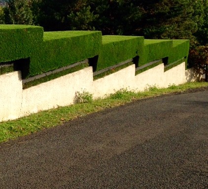 Taille de haie à Châtellerault 86100 en Vienne HJ Elagage 86