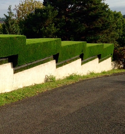Taille de haie à Châtellerault 86100 en Vienne HJ Elagage 86