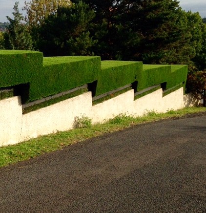 Taille de haie à Châtellerault 86100 en Vienne HJ Elagage 86