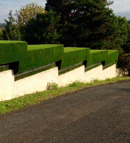 Taille de haie à Châtellerault 86100 en Vienne HJ Elagage 86